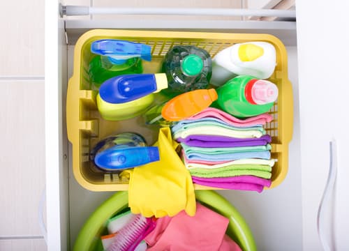 7 Genius Steps to Organise Cleaning Supplies Under the Sink - Torera George