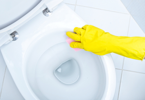 What-do-professional-cleaners-use-to-clean-toilets