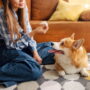 5 Smart Tips to Help Keep Pet Areas Clean & Fresh