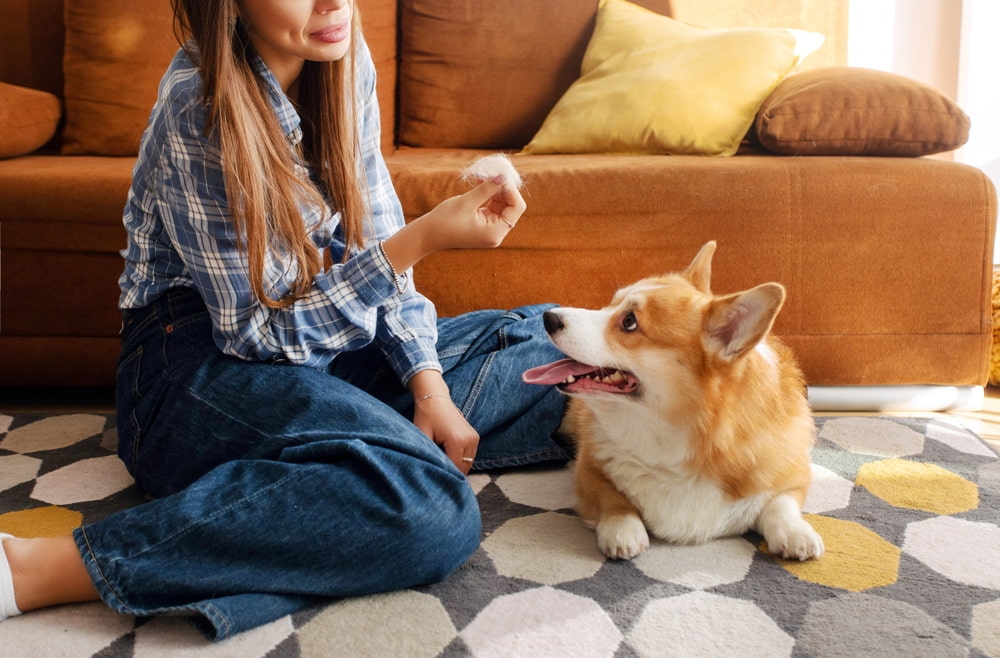 5 Smart Tips to Help Keep Pet Areas Clean & Fresh