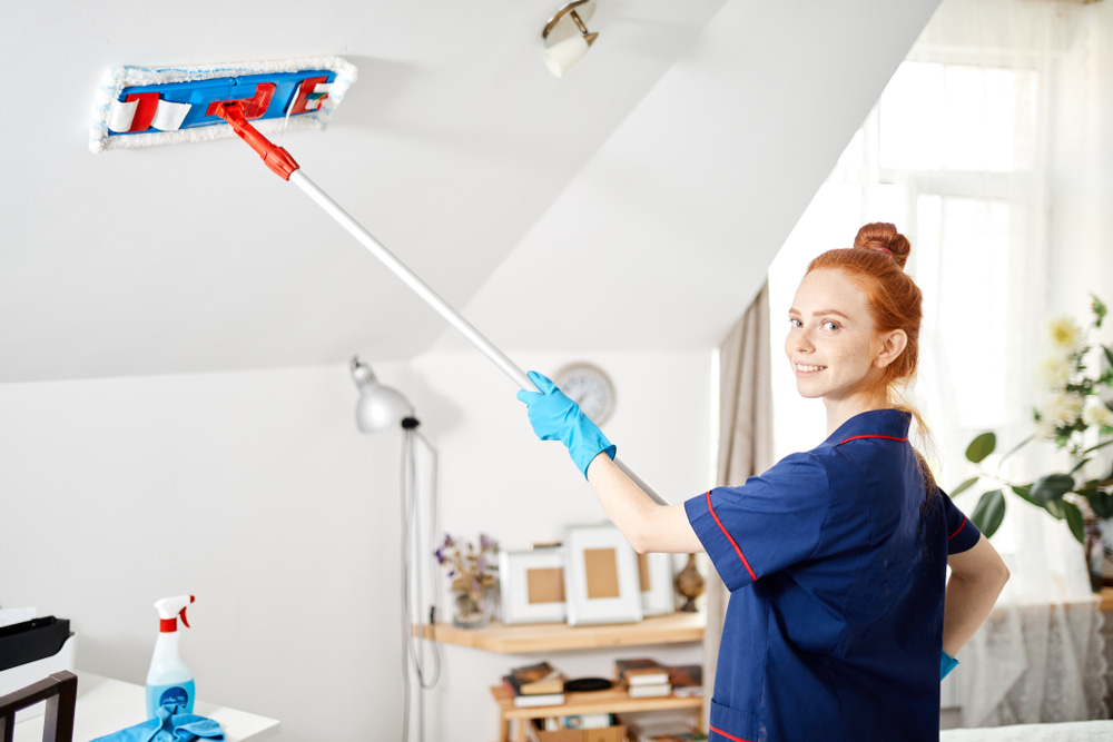 meticulous house cleaning in Woodside